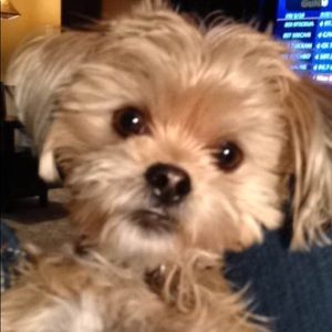 Meet your Posher, Jackie